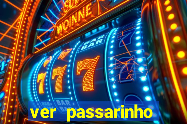 ver passarinho morto significado